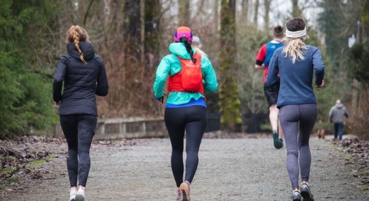 Vier Läuferinnen und Läufer joggen gemeinsam durch einen Waldpark